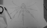 Sketch 1