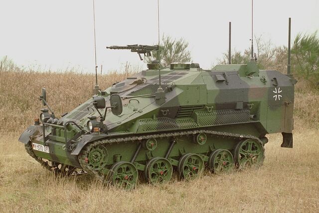 File:Wiesel2.jpg