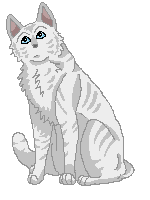 Cloudtail