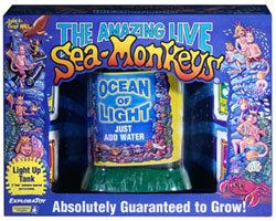 Ocean of Light