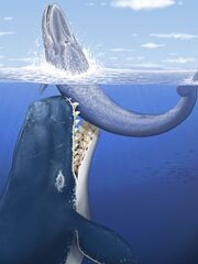 Whale01-leviathan-rendering 22737 600x450