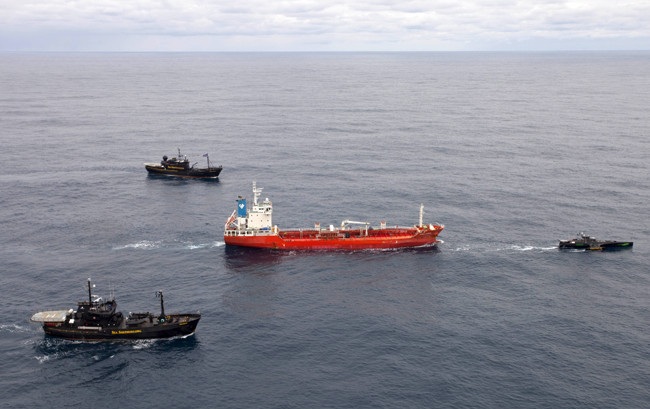 Sun Laurel | Sea Shepherd Wiki | FANDOM powered by Wikia