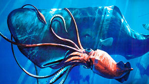 Kraken