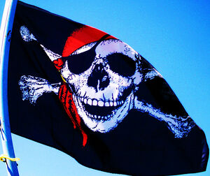 Skull and Crossbones Flag