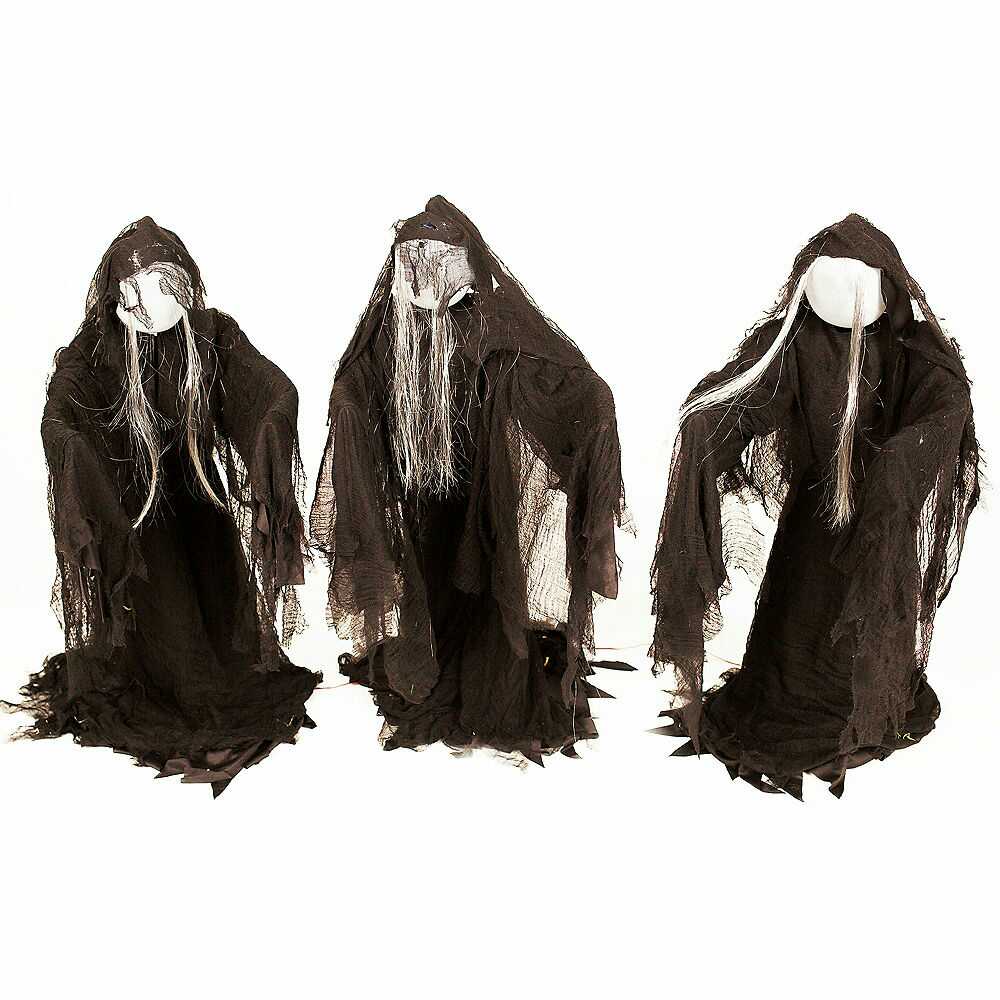 Witch Coven | Seasonal Visions Wiki | Fandom