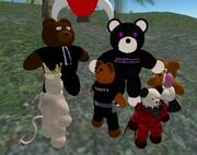 Morebears