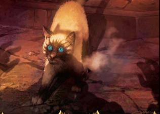 Mr. Bigglesworth TCG