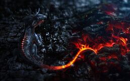 Dragon Hatchling