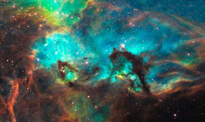 Seahorse Nebula