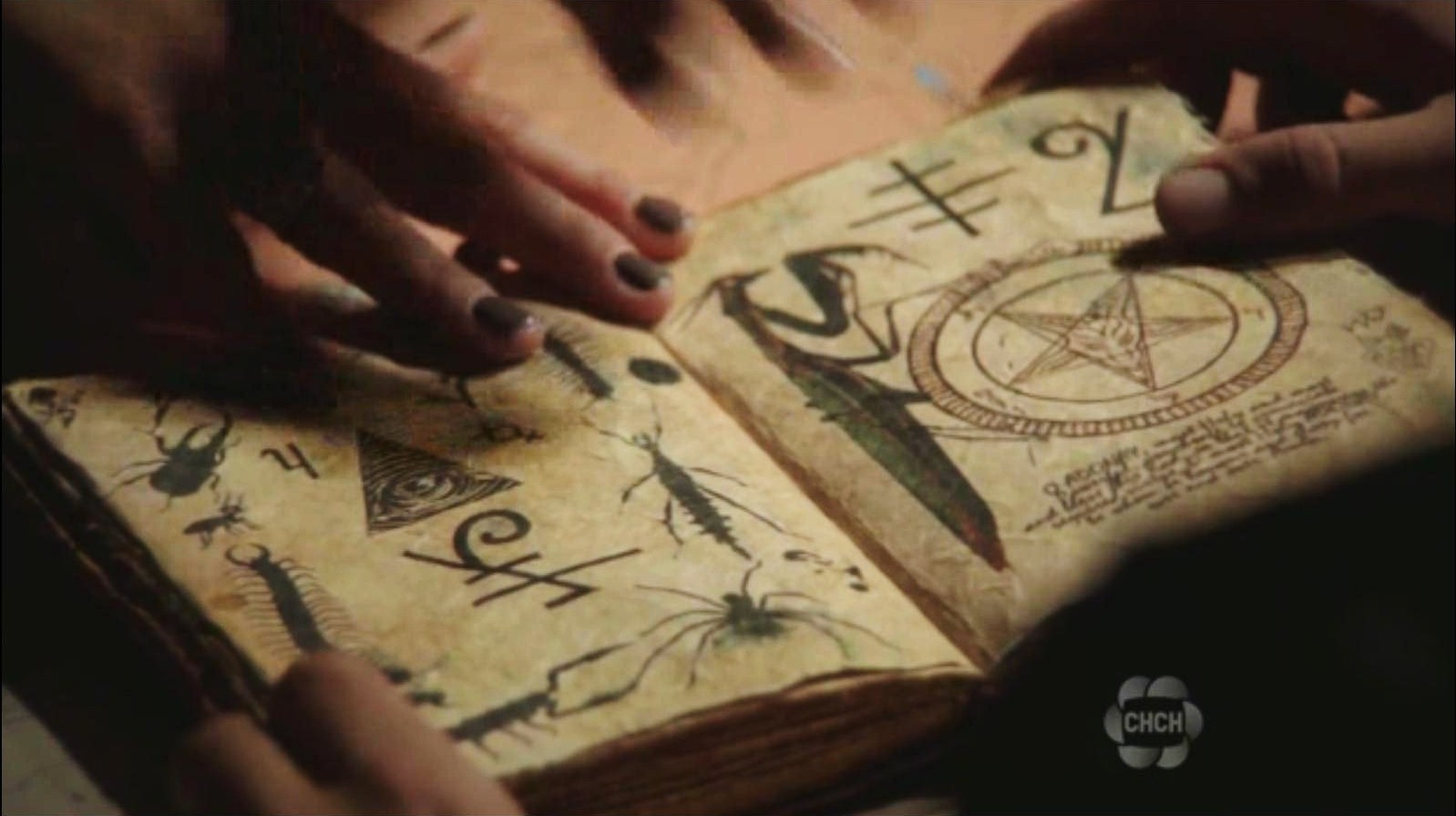 Image - Diana book 3.jpg | The Secret Circle Wiki | FANDOM powered by Wikia