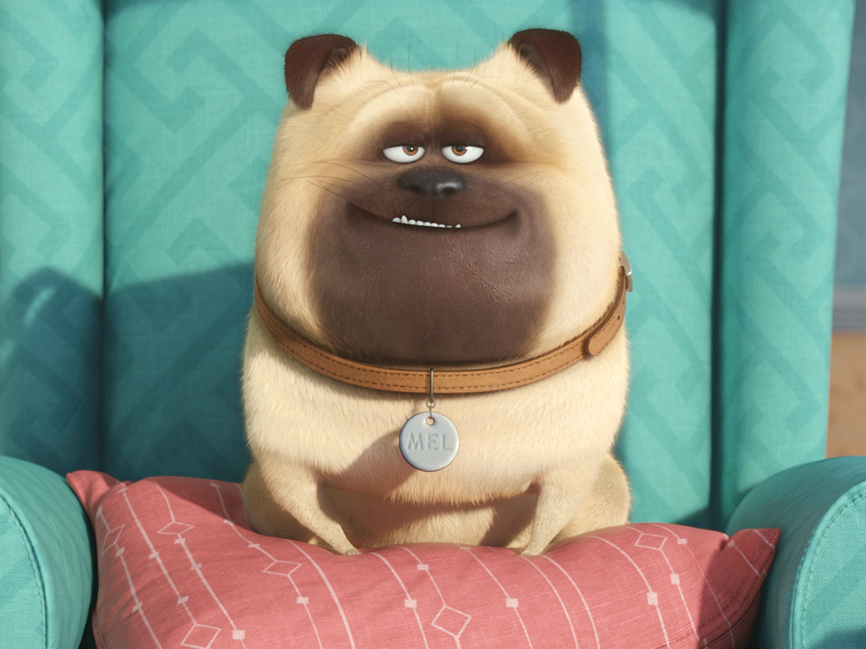 the secret life of pets movie in stores the secret life of pets movie in stores