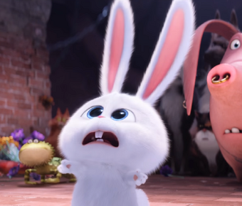 Secret Life Of Pets Wikia