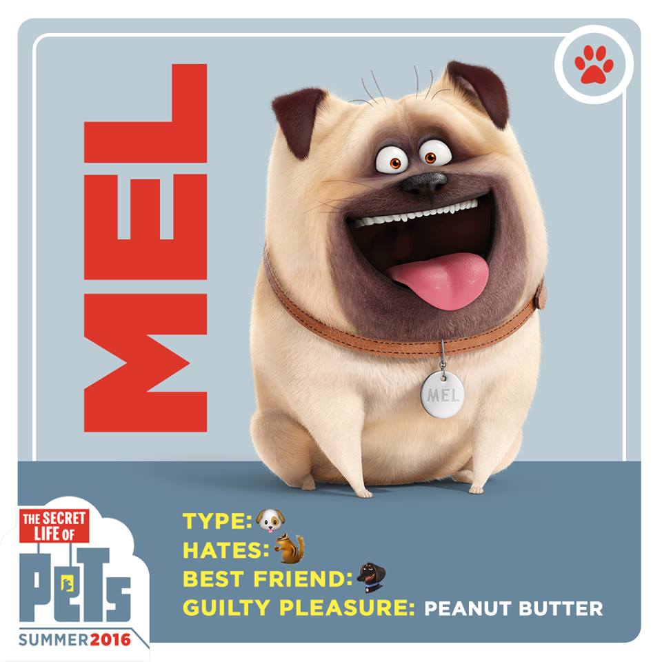 Mel/Gallery | The Secret Life of Pets Wiki | FANDOM powered by Wikia