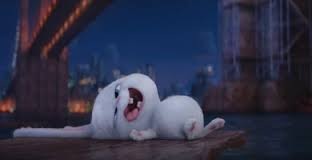 Snowballgallery The Secret Life Of Pets Wiki Fandom Powered By