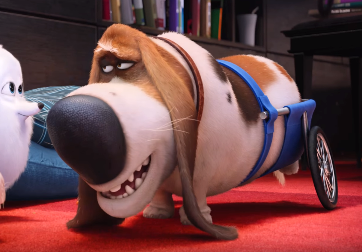 Pops The Secret Life Of Pets Wiki Fandom Powered By Wikia