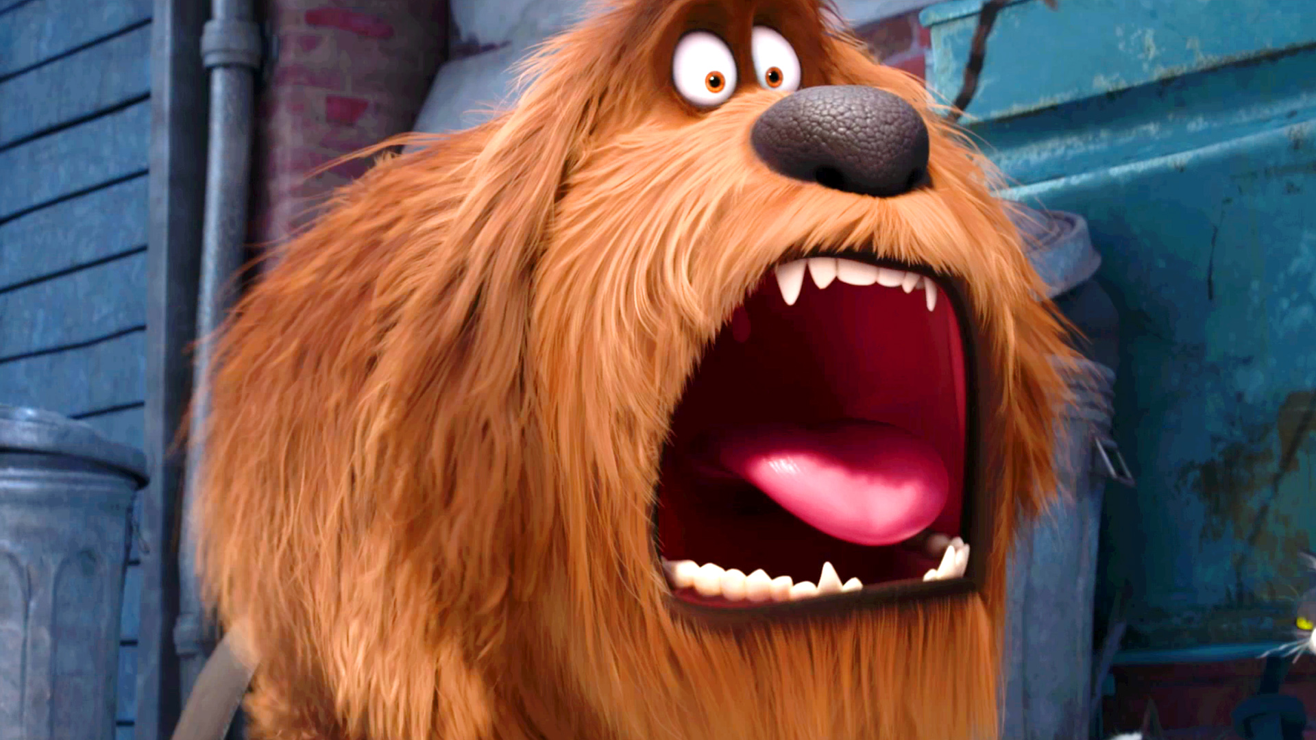 cast of the secret life of pets Lake Bell movies