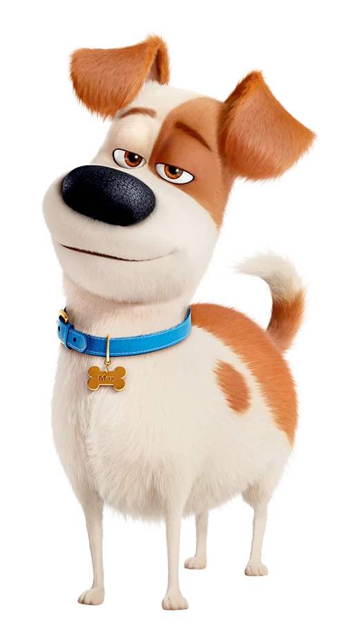 Secret Life Of Pets