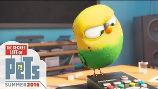 The Secret Life Of Pets The Secret Life Of Pets Wiki Fandom