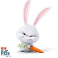 Snowballgallery The Secret Life Of Pets Wiki Fandom Powered By