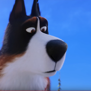Rooster Gallery The Secret Life Of Pets Wiki Fandom