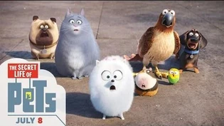 The Secret Life Of Pets The Secret Life Of Pets Wiki Fandom
