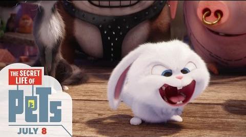 Video The Secret Life Of Pets Happy Easter Hd Illumination