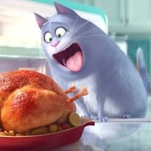 Chloe The Secret Life Of Pets Wiki Fandom