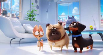 Gidget's Apartment | The Secret Life of Pets Wiki | FANDOM powered by Wikia