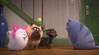 The Secret Life Of Pets 2 The Secret Life Of Pets Wiki Fandom