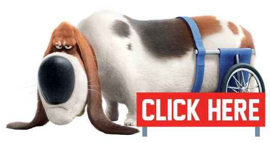 Pops | The Secret Life of Pets Wiki | Fandom