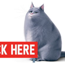 Chloe The Secret Life Of Pets Wiki Fandom