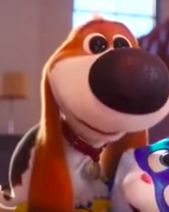 Tiny The Secret Life Of Pets Wiki Fandom