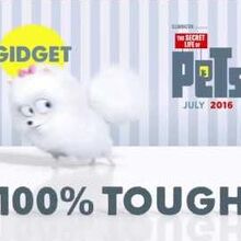 Gidget The Secret Life Of Pets Wiki Fandom