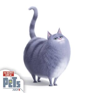 Chloe Gallery The Secret Life Of Pets Wiki Fandom