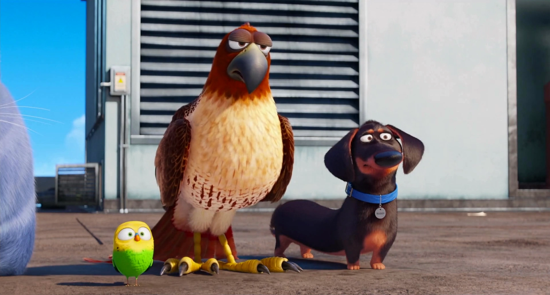 secret life of pets tiberius toy