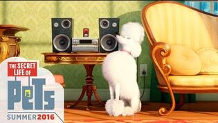 The Secret Life of Pets | The Secret Life of Pets Wiki | FANDOM ...