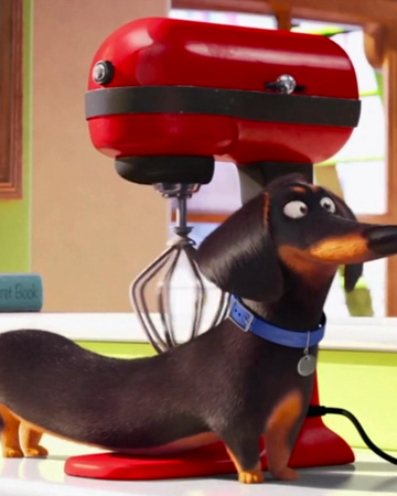 Buddy The Secret Life Of Pets Wiki Fandom