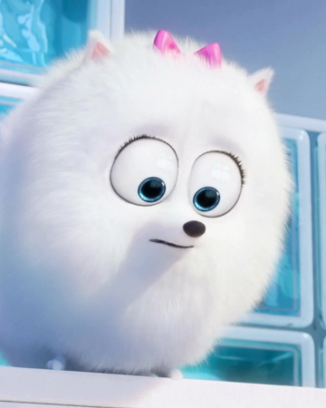 Gidget The Secret Life Of Pets Wiki Fandom