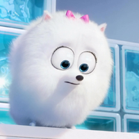 Gidget The Secret Life Of Pets Wiki Fandom