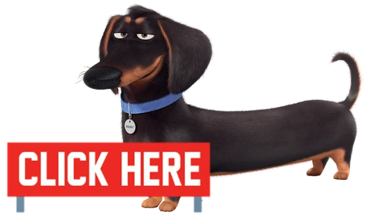 Buddy | The Secret Life of Pets Wiki | FANDOM powered by Wikia
