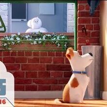Gidget The Secret Life Of Pets Wiki Fandom