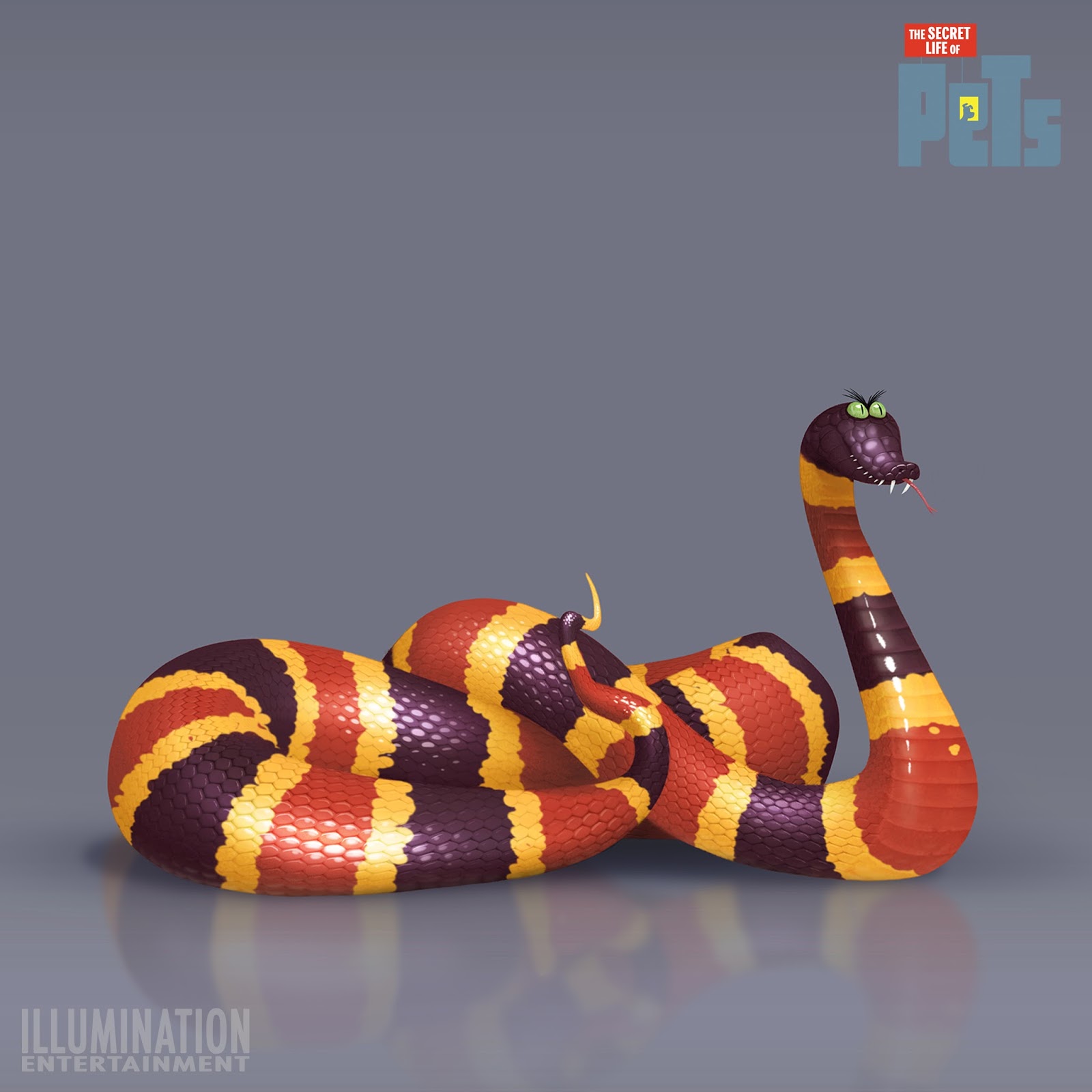 Is Your Snake Stressed?  The Yawning Secret Revealed! - dx5qxij