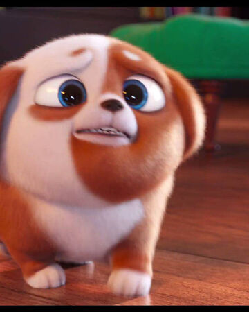 Pickles The Secret Life Of Pets Wiki Fandom