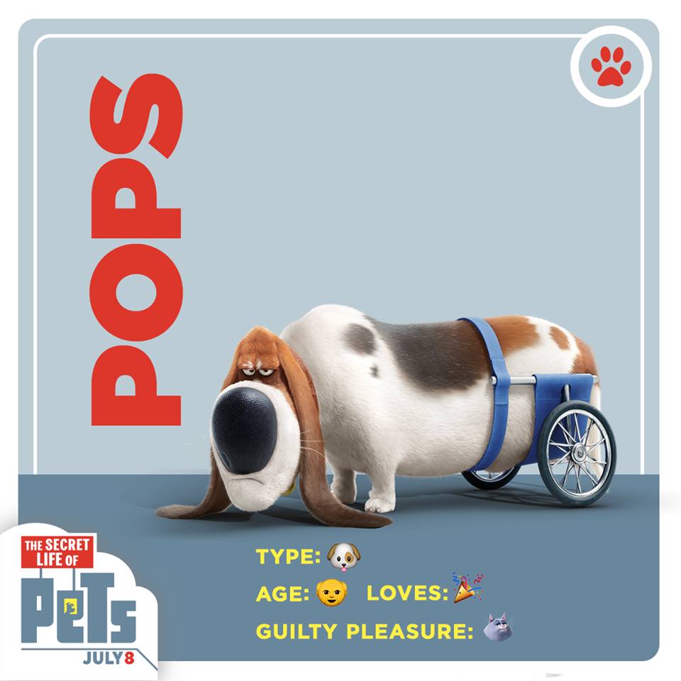 pops secret life of pets