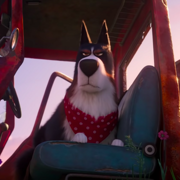 Rooster The Secret Life Of Pets Wiki Fandom