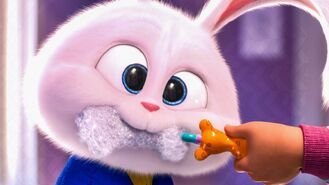 The Secret Life Of Pets 2 The Secret Life Of Pets Wiki Fandom