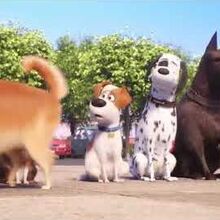 the secret life of pets 2 mcdonalds 2019