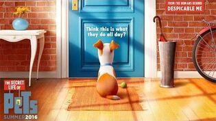 The Secret Life Of Pets The Secret Life Of Pets Wiki Fandom