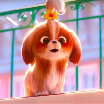 Daisy The Secret Life Of Pets Wiki Fandom