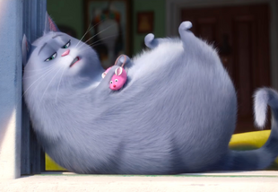 Katie The Secret Life Of Pets Wiki